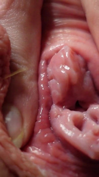 Buceta E Masturbação Anal Closeup