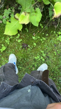 Golden Stream: Peeing in Paradise