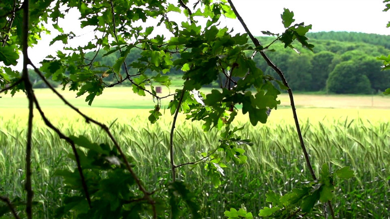 Amateur Pornos XXX: Kompilasi tante bahenol ini siap dientot kontol dan dicrot di...