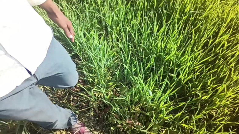 HotboyIndian: 핫한 소년 인도 비디오