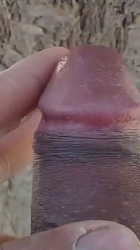 Beautiful Young College Girl Is Getting Fucked on the Road, They Have Her on All Fours