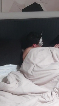 Amorevole matrigna, solo fan al rallentatore, nel letto del re