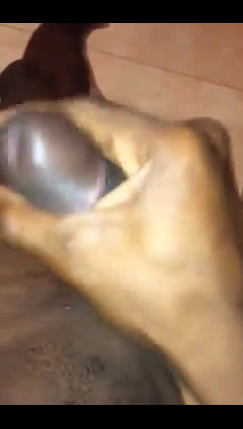 Haydenbbc: Pancutan mani