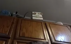 Playing in the Kitchen Floor