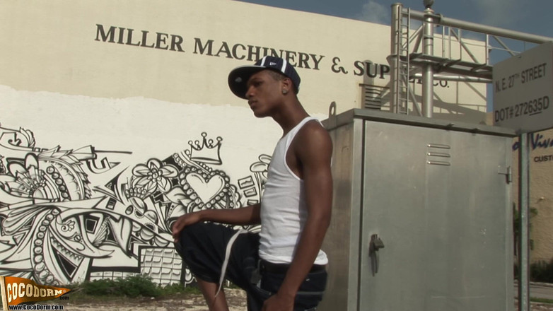 CocoDorm: マイクール・レース