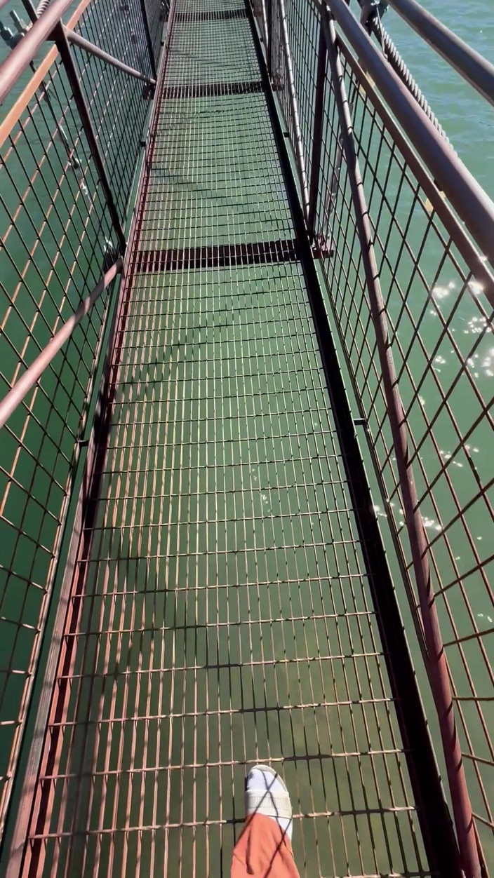 Dahlia Wolf: Feticismo del piede all'aperto attraversando il ponte