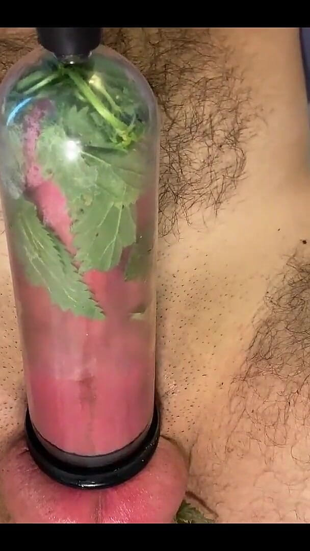 CBT Pumped Stinging Nettles Cum (Cbt Lover)