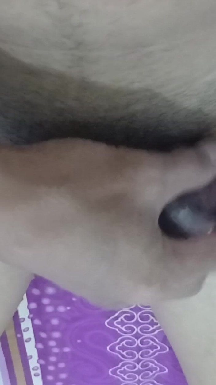 KingLeo: With a Baby Sitter