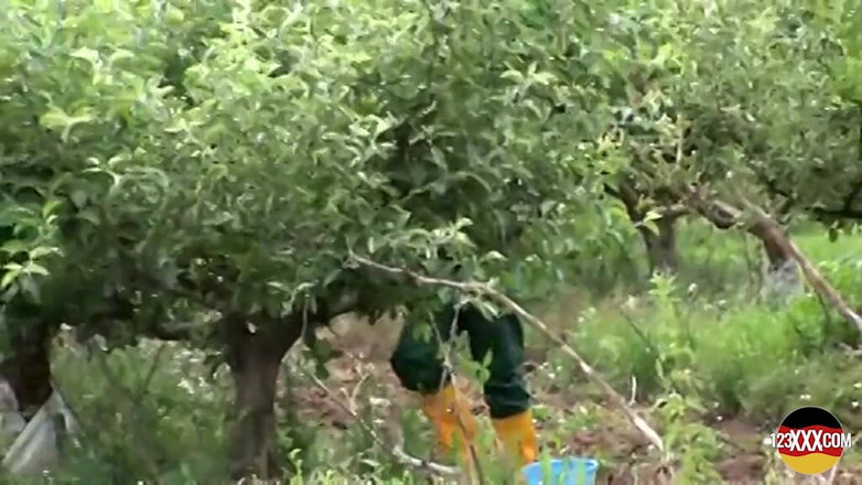 123XXX - Fucked Amateurs in Germany!: 야외에서 좋은 섹스를 좋아하는 하드코어 금발