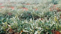 Judith xxx: 我的最新视频