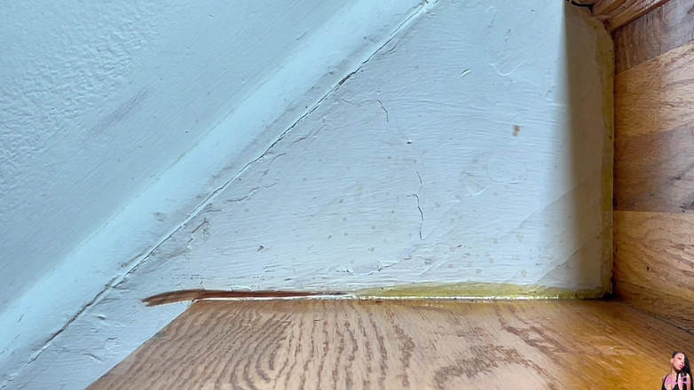 Pink Foxx: 계단을 오르가며 걷는 중