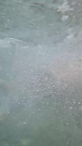 Thumbnail of Fuck Golden Shower Piss Rimming Facial in Murky Water