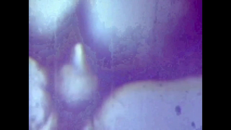 Vintage megastore: Грязная свинья-проститутка