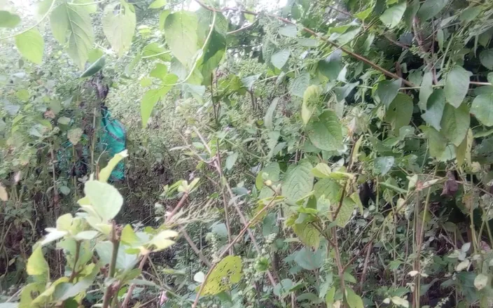 Kumari Queen ji: Indian Desi Bhabhi and Young Boy Forest Jungle Sex Videos...