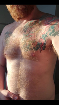Ginger Fur in the Morning