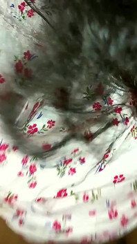 Tamanha Bhabhi full Chudai in figa stretta