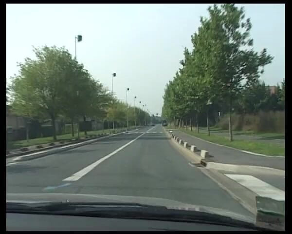 King Of Amateur: Hitchhikers