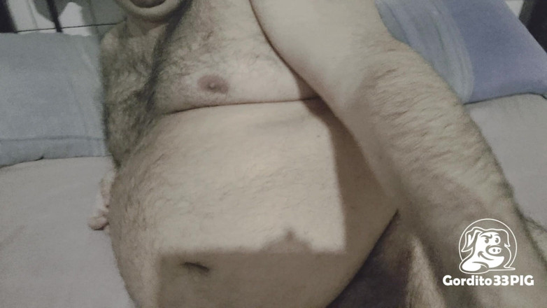 Gordito33PIG: หมูอ้วนเคลื่อนย้ายน้ํามันหมู