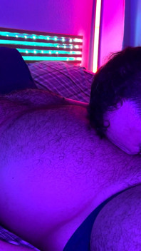 Ursos Neon