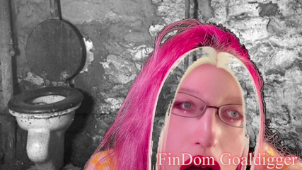 FinDom Goaldigger: Transformacja złotej toalety