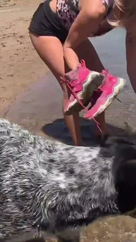 Sparks worden wild tijdens het spelen in de modder