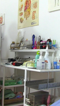 Pemeriksaan gino wanita dewasa pirang