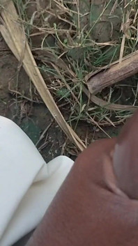 Desi Mahol