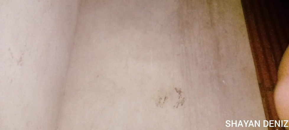 SHAYAN DENIZ: Shayan Deniz - Skutečná amatérská koupelna