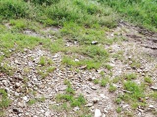 Clarkykore: युवा भारतीय प्लंबर को किराए पर लेती है और उसे अपनी कुंवारी के साथ भुगतान करना पड़ता है