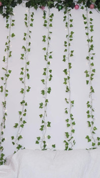 Plantas desnudas