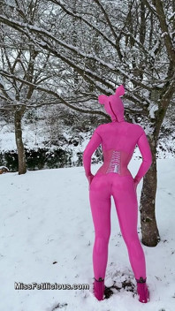 Snow Piggy