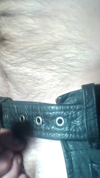 Penis Ring and Harness