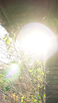 The Forest Sees Me Naked, Only Towel Keeps the Secret