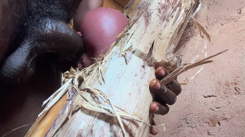 Bangcum8: Der arsch ist sehr süß in meinem gefängniszimmer