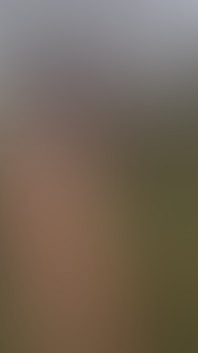 More Clip