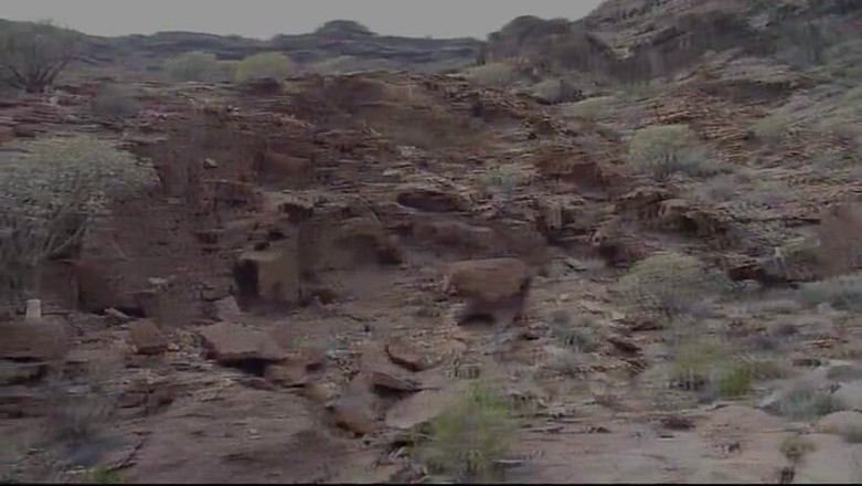 Watch4beauty: Tufă în aer liber