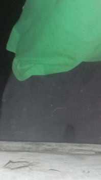 Show Ass