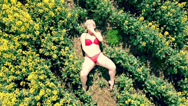 Kylie Britain Adventures: Vista dos pássaros