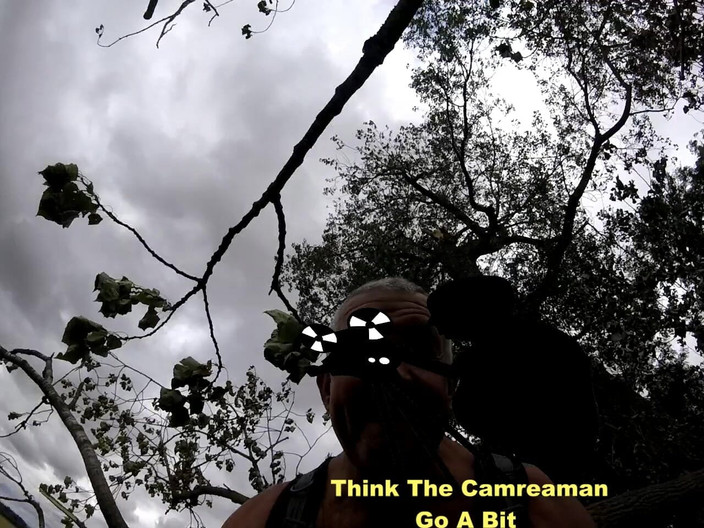 Andy: Teil 2 Spaziergang 46