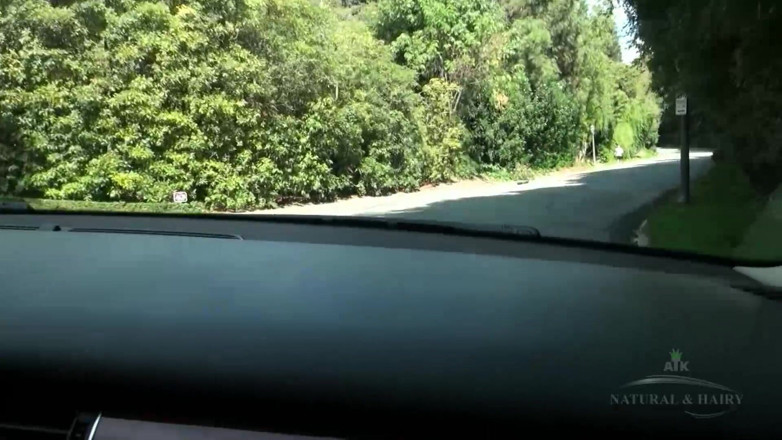 ATK Fans (Solo): Amateur Travelogue