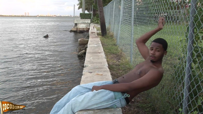 CocoDorm: Regele anatomiei