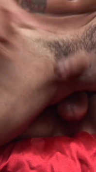 아킬라르와 아폴로