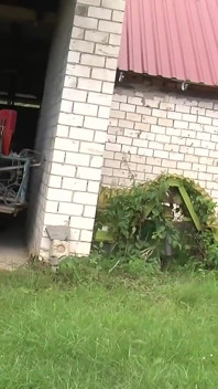Para rucha się w klipie seksu w stodole