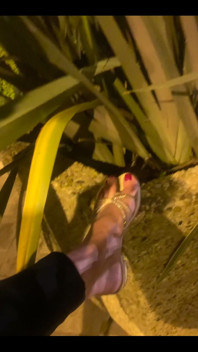 My Feet