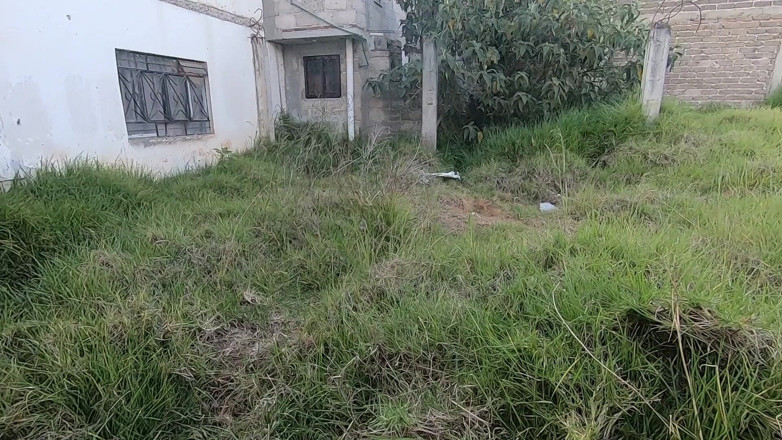 bekycarril: Outdoor blowjob in the garden