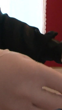 Deutsche bdsm – hardcore mit zwei halsfick-sklavinnen