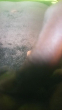 My Hairy Black Dick Need Some Shaving