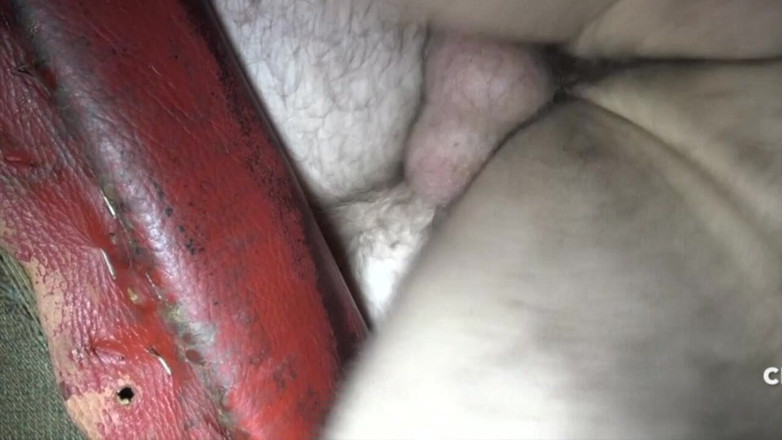 BAREBACK COMMUNITY: Heißer Fick zwischen meinen Muskeln