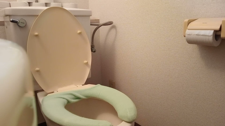 Mayumi Kanzaki: One Day's Pee