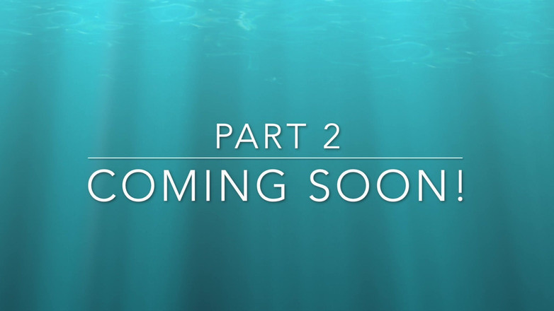 Aaexperiencesltd: Parte 1. la Governante, il signor Swine cazzo e il tifo.